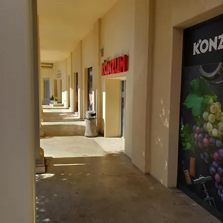 Apartman Paun * אופטיה